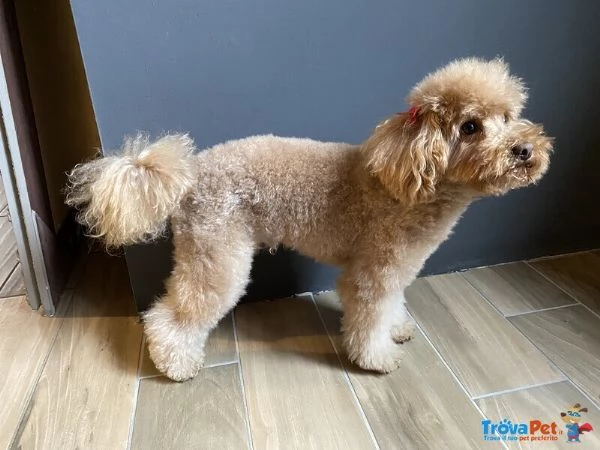 Giovani Sulcata | Foto 1