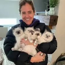 Splendidi gattini Ragdoll