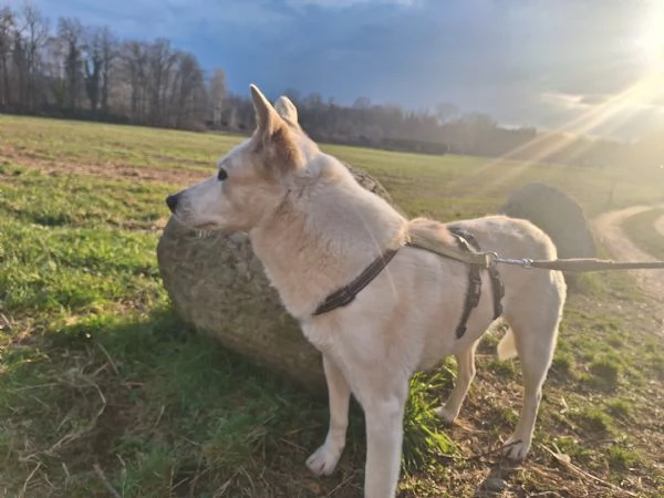 Camille vi aspetta in provincia di Como  | Foto 0