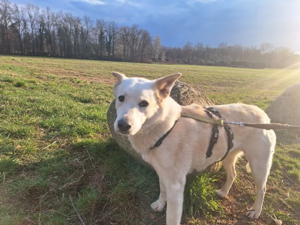 Camille vi aspetta in provincia di Como 