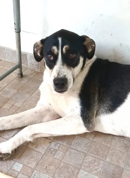 Luna cerca casa | Foto 1