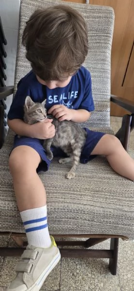 TREMOLINA: adozione del cuore | Foto 1