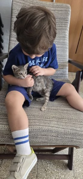 TREMOLINA: adozione del cuore