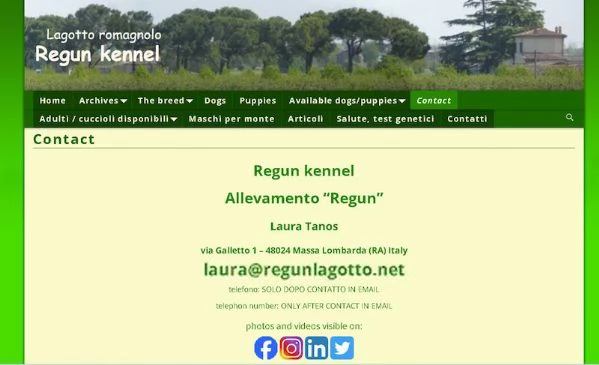 Lagotto romagnolo - cuccioli | Foto 1