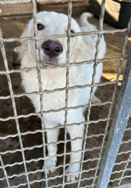 Rey: RINCHIUSO E INVISIBILE!