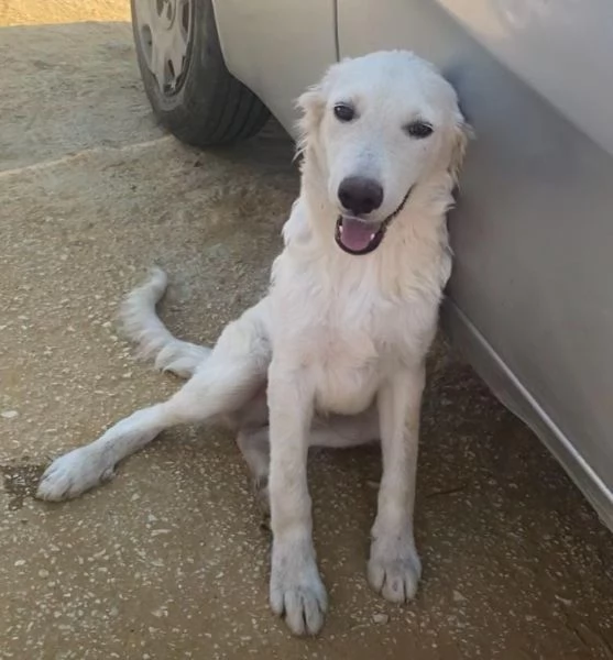 Rey: RINCHIUSO E INVISIBILE! | Foto 3