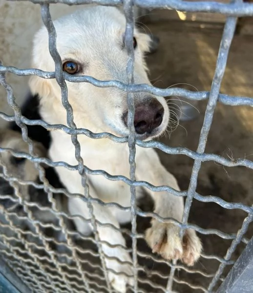 Rey: RINCHIUSO E INVISIBILE! | Foto 2