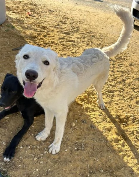 Rey: RINCHIUSO E INVISIBILE! | Foto 1