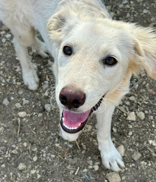 Rey: RINCHIUSO E INVISIBILE! | Foto 0