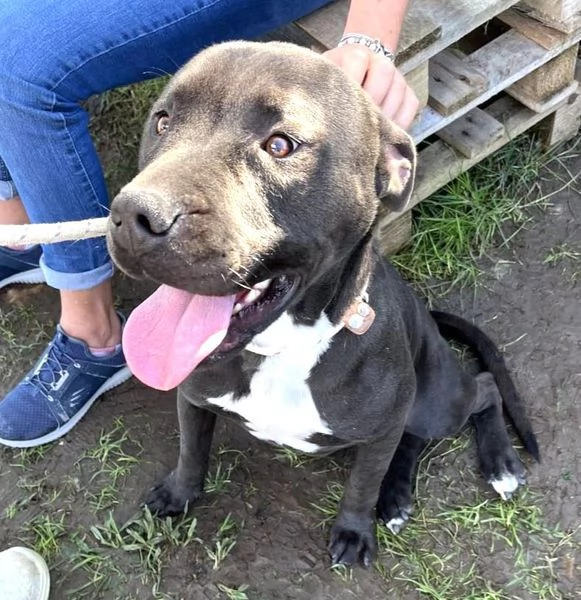 Magico Tyson dal cuore grande | Foto 2