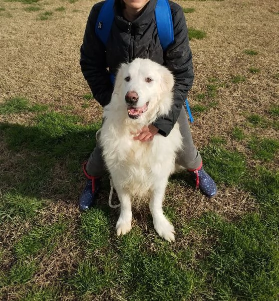 BATUFFOLOSO RUSSEL, ADOZIONE DEL CUORE | Foto 5