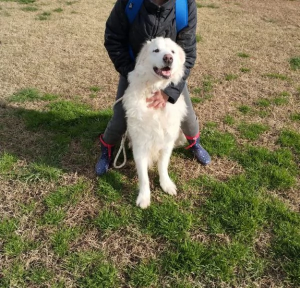 BATUFFOLOSO RUSSEL, ADOZIONE DEL CUORE | Foto 3