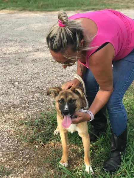 VULCANO mini pastorello  | Foto 4