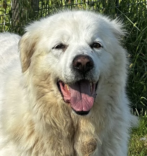 Vittoria, la maremmana che sorride | Foto 5