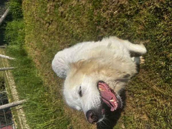 Vittoria, la maremmana che sorride | Foto 4