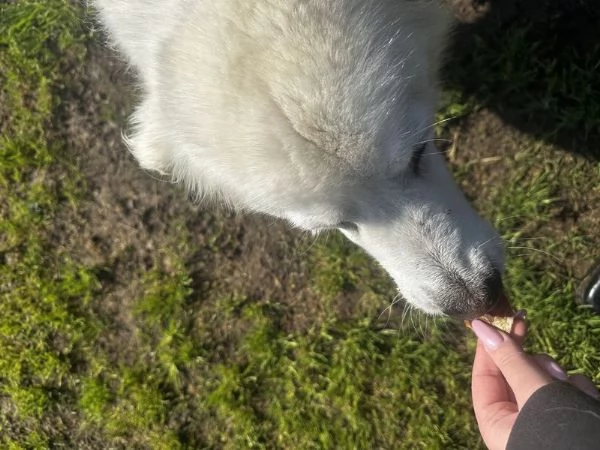 Vittoria, la maremmana che sorride | Foto 3
