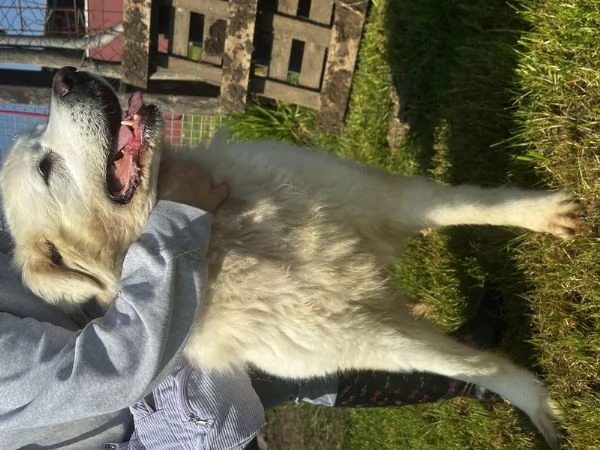 Vittoria, la maremmana che sorride | Foto 2