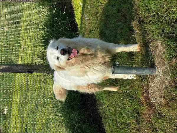 Vittoria, la maremmana che sorride | Foto 1