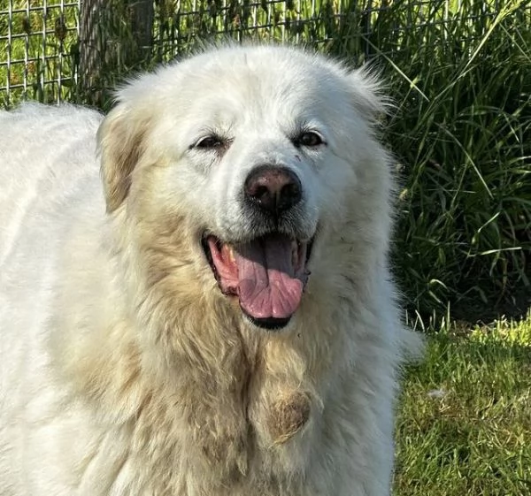 Vittoria, la maremmana che sorride | Foto 0