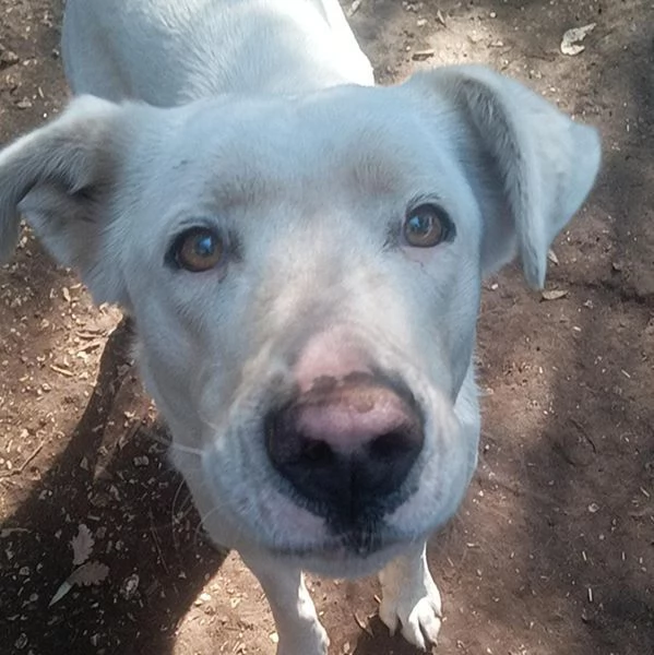 Clara, occhioni da cerbiatto | Foto 6