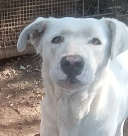 Clara, occhioni da cerbiatto | Foto 5