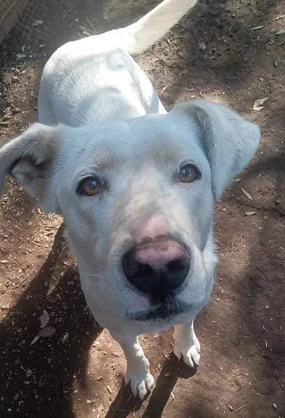 Clara, occhioni da cerbiatto | Foto 3