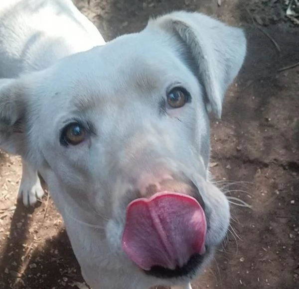 Clara, occhioni da cerbiatto