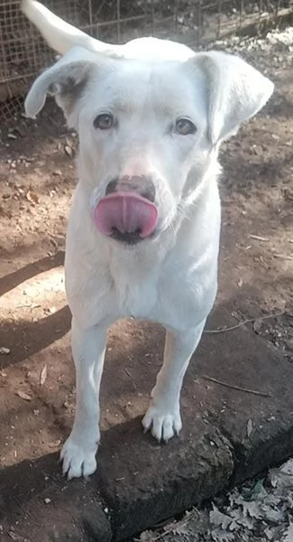 Clara, occhioni da cerbiatto | Foto 2