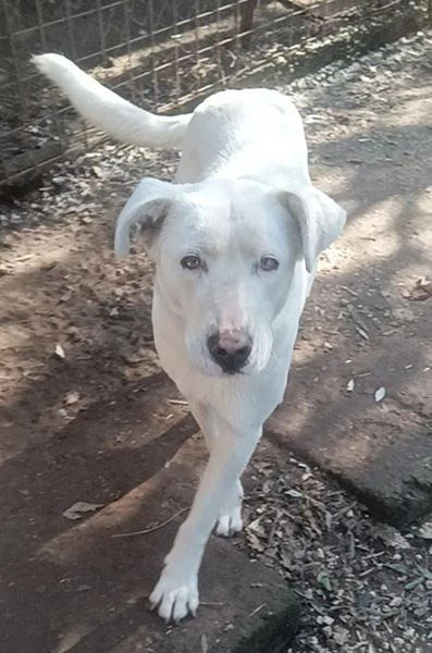 Clara, occhioni da cerbiatto | Foto 0