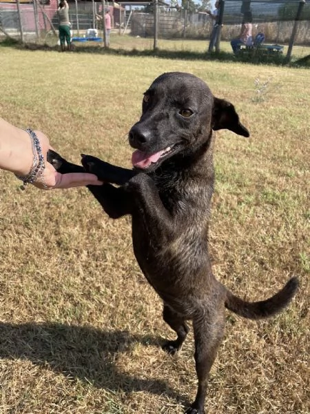 Hennè un concentrato di allegria | Foto 4