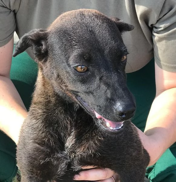 Hennè un concentrato di allegria | Foto 1