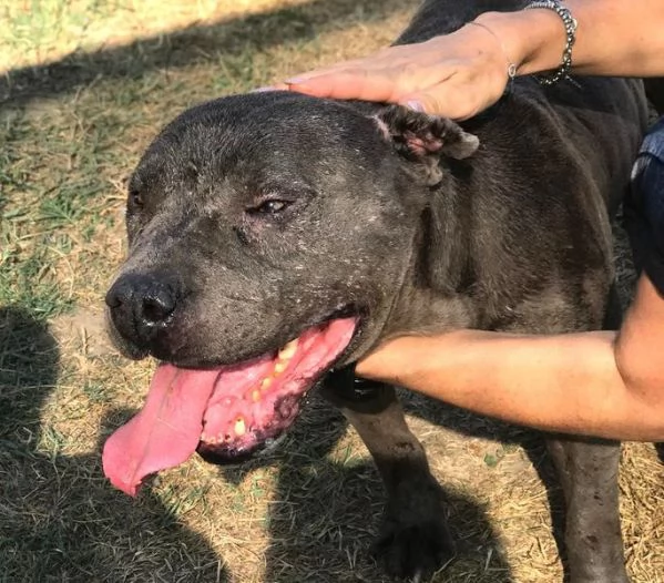  Bambacione, il nome adatto a lui | Foto 5