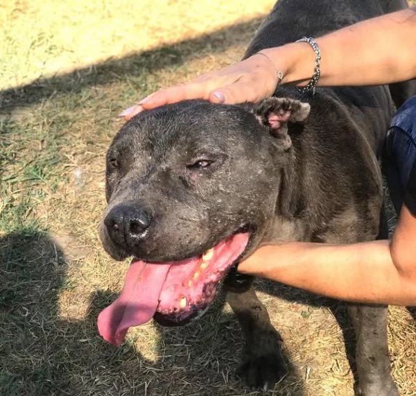  Bambacione, il nome adatto a lui | Foto 3