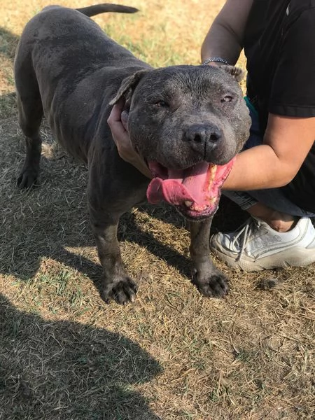  Bambacione, il nome adatto a lui | Foto 1