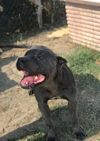  Bambacione, il nome adatto a lui | Foto 0