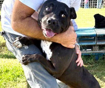 JESSY, un cuore di pitt | Foto 5