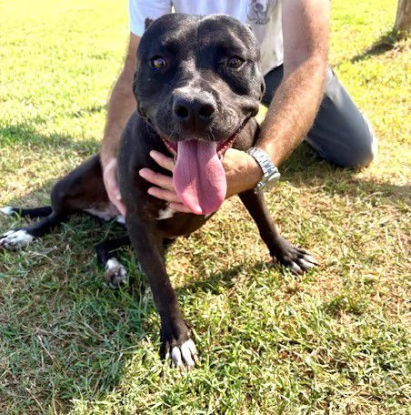 JESSY, un cuore di pitt | Foto 2