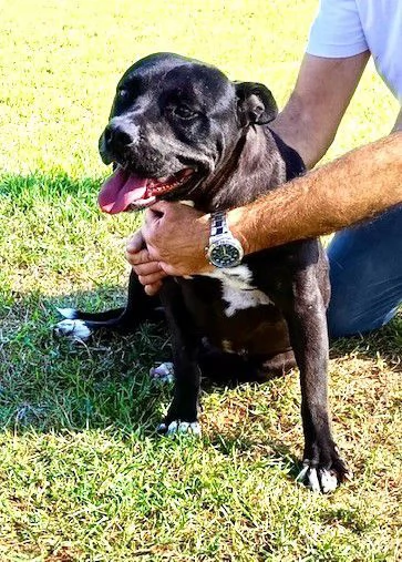 JESSY, un cuore di pitt | Foto 0