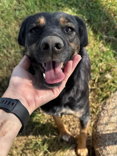 Tac, giovanissima, piccola e dolce | Foto 3