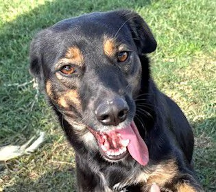 Tac, giovanissima, piccola e dolce