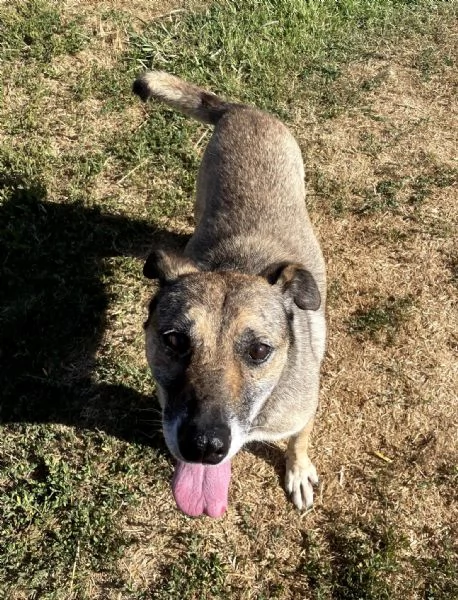 FRANZ, regaliamogli un futuro | Foto 6