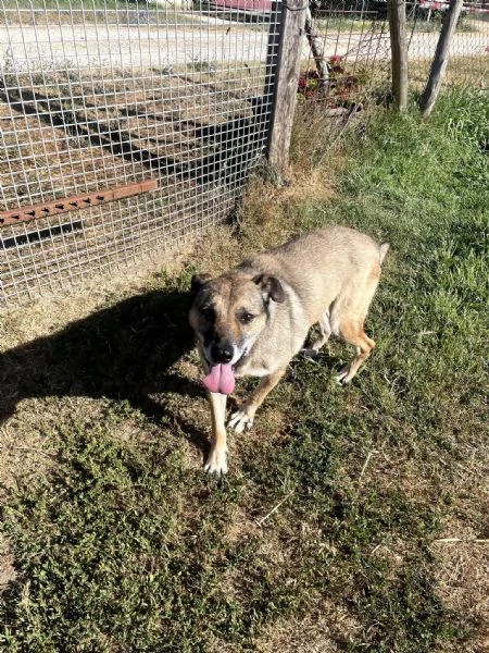 FRANZ, regaliamogli un futuro | Foto 5