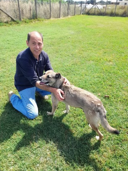 FRANZ, regaliamogli un futuro | Foto 4