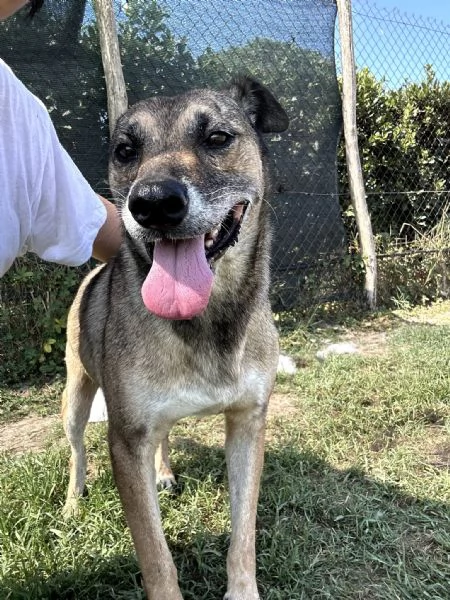 FRANZ, regaliamogli un futuro | Foto 3