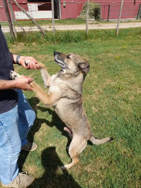 FRANZ, regaliamogli un futuro | Foto 1