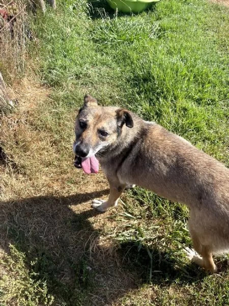 FRANZ, regaliamogli un futuro | Foto 0