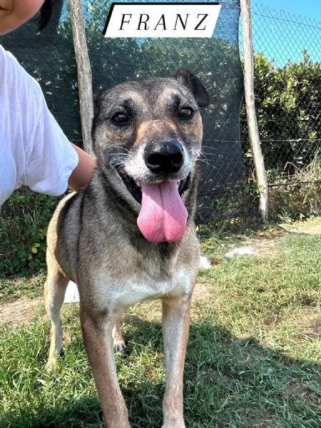 FRANZ, regaliamogli un futuro