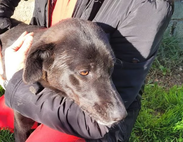 Bibbi l'entusiasmo del suo essere ti prende il cuore 