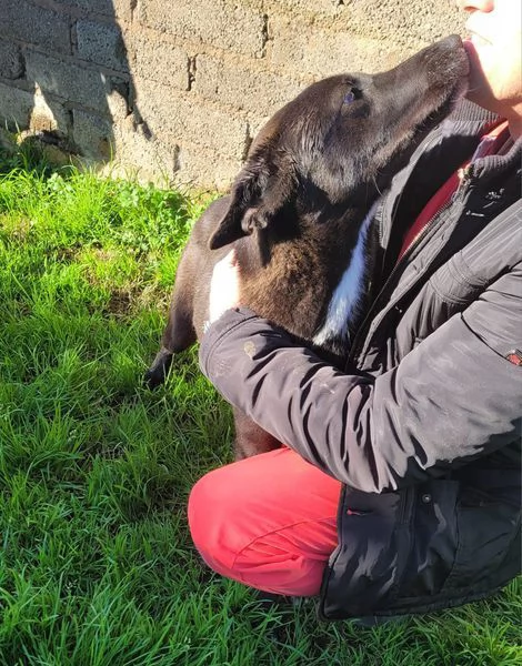 Bibbi l'entusiasmo del suo essere ti prende il cuore  | Foto 6