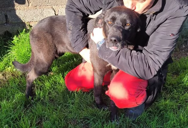 Bibbi l'entusiasmo del suo essere ti prende il cuore  | Foto 3